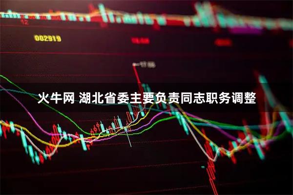 火牛网 湖北省委主要负责同志职务调整