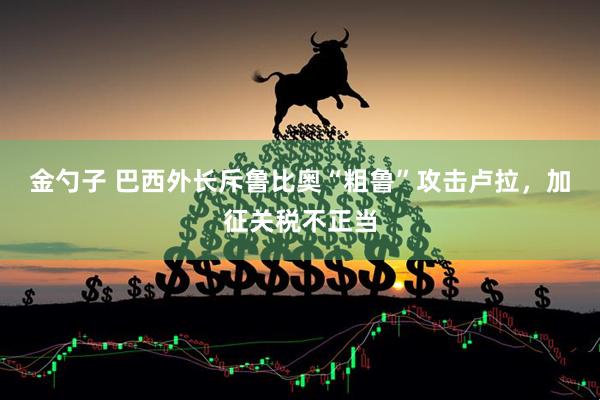 金勺子 巴西外长斥鲁比奥“粗鲁”攻击卢拉，加征关税不正当