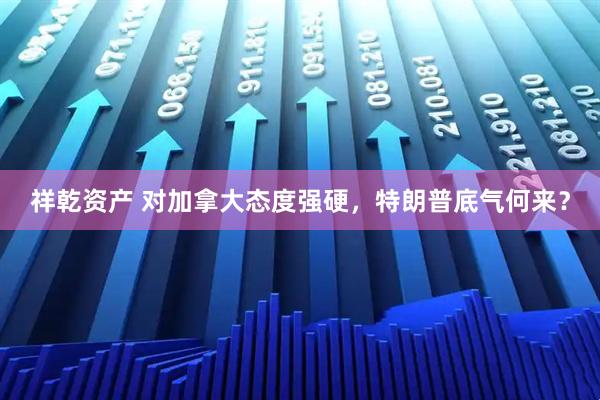 祥乾资产 对加拿大态度强硬，特朗普底气何来？