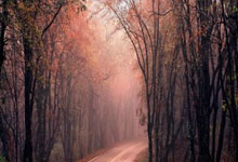 网上股票杠杆平台:全国股票配资公司-两部门发布划转充实社保基金国有股权及现金收益运作管理税收政策